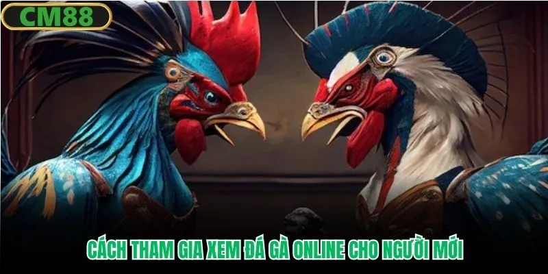 Cách tham gia xem đá gà online cho người mới