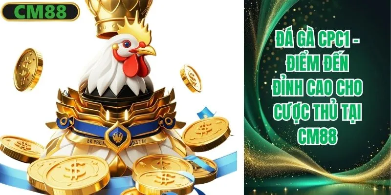 Đá gà CPC1