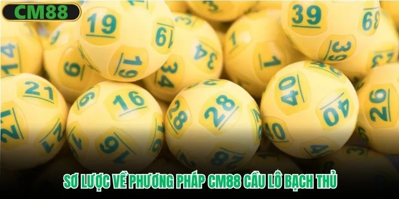 Sơ lược về phương pháp CM88 cầu lô bạch thủ